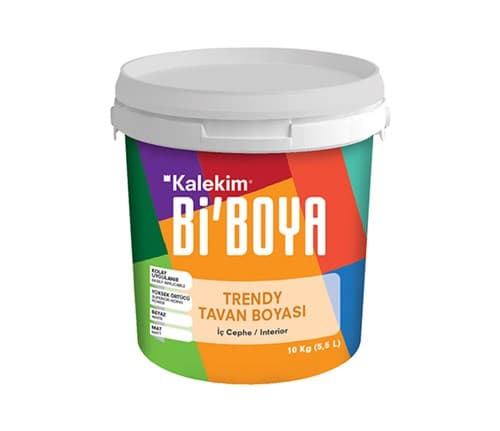 Bi'Boya Profesyonel Tavan Boyası